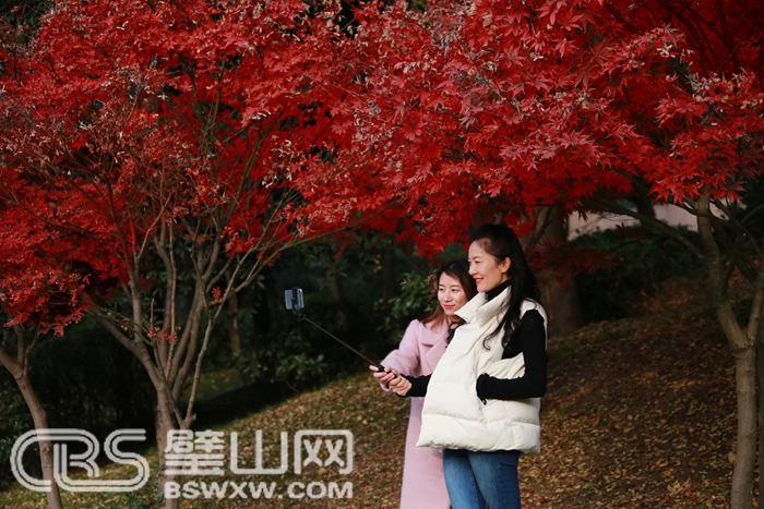 1ff9ad8c6fbe4dca8ce6162c5419932f.jpg