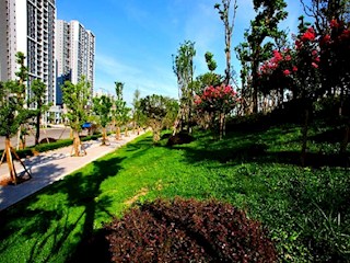 璧青路